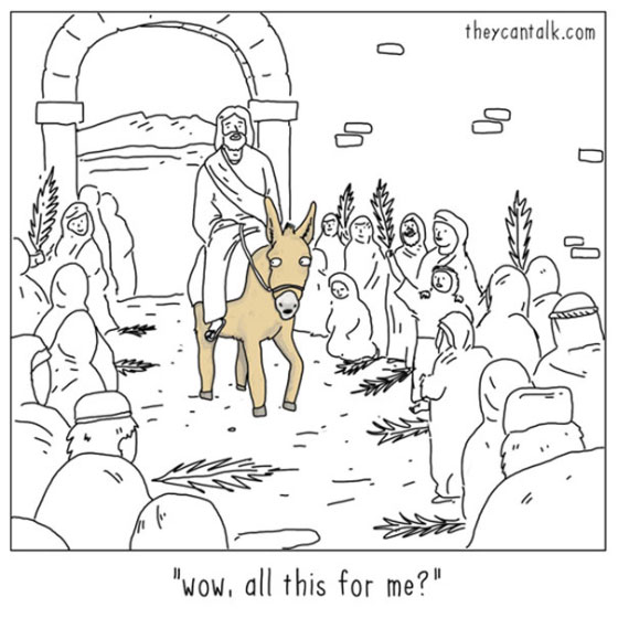 donkey