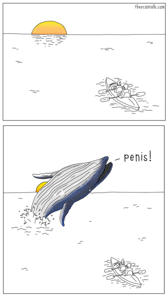 whale