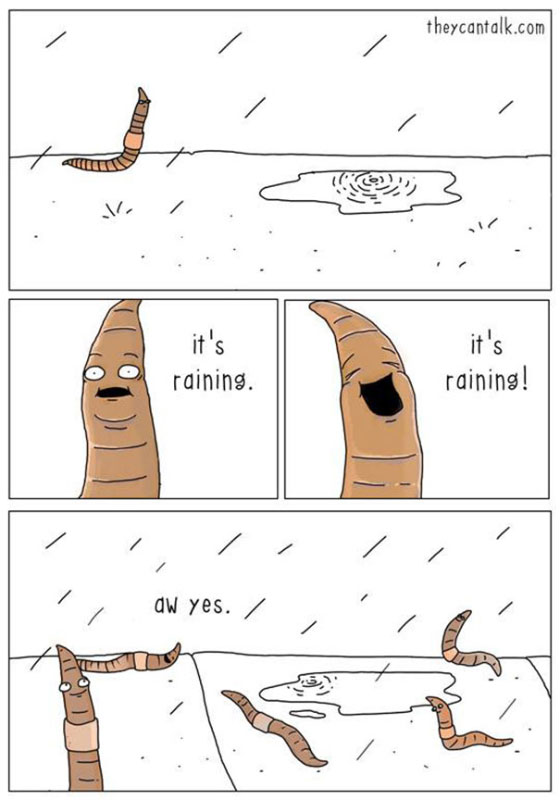 worm